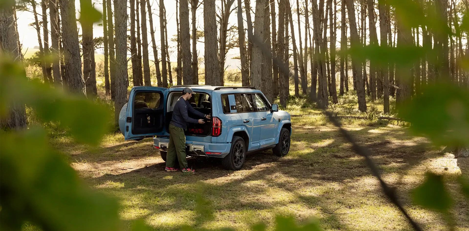 DENZA B5 na floresta